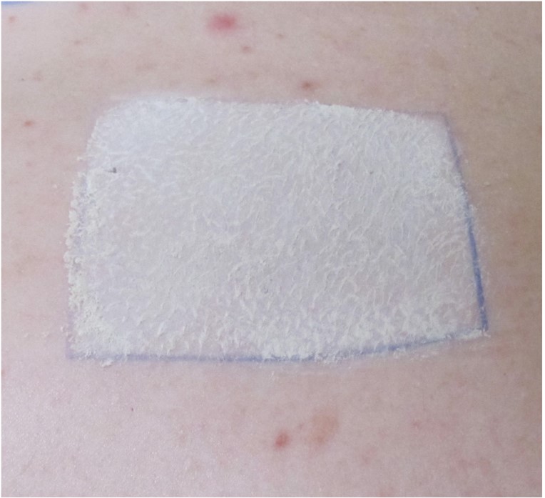 Hawaiian Tropic poeder